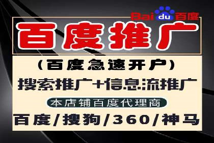 百度推广费用投入与品牌故事传播的案例分析